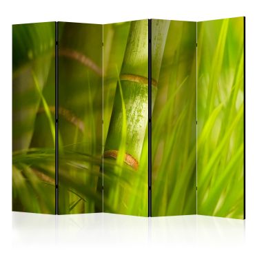 Διαχωριστικό με 5 τμήματα - bamboo - nature zen II [Room Dividers]