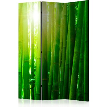 Διαχωριστικό με 3 τμήματα - Sun and bamboo II [Room Dividers]