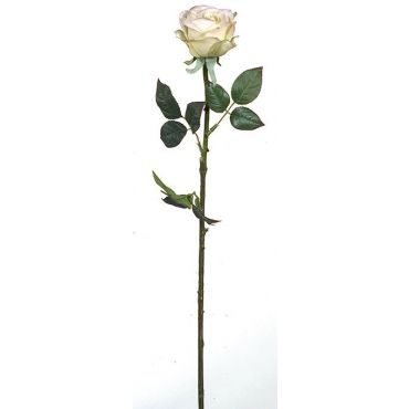 Διακοσμητικό Τριαντάφυλλο Polo