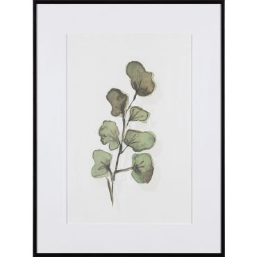 Frame Seaplant II