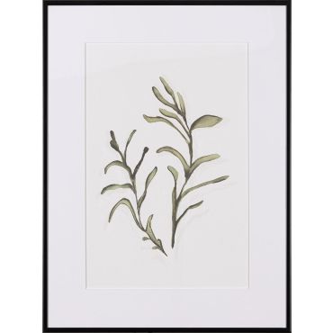 Frame Seaplant I