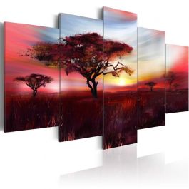 Table - Wild savannah