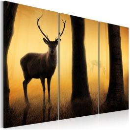 Table - Forest guard