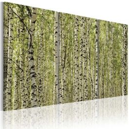 Πίνακας - A forest of birch trees