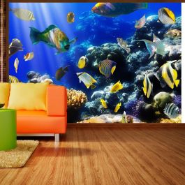 Self-adhesive photo wallpaper - Underwater adventure