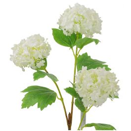Λουλούδι Snowball x3 άνθη