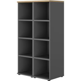 Βιβλιοθήκη Organizer II