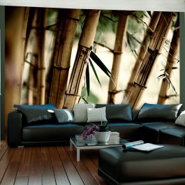 Wallpaper - Fog and bamboo forest