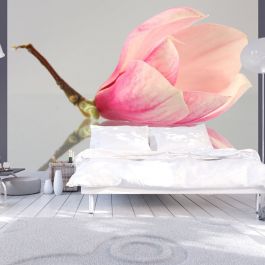 Φωτοταπετσαρία - A lonely magnolia flower