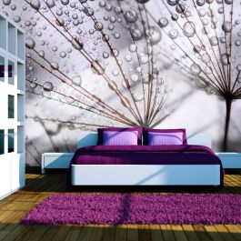 Wallpaper - Dandelion and morning dew