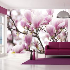 Φωτοταπετσαρία - Magnolia bloosom