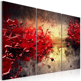 Canvas Print - Red splash