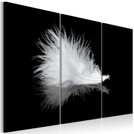 Canvas Print - A small feather