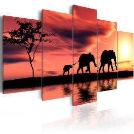Canvas Print - African elephants family
