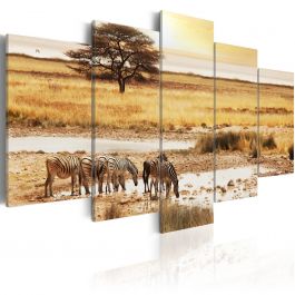 Πίνακας - Zebras on a savannah