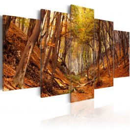 Canvas Print - Orange autumn