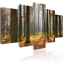Canvas Print - A nice forest landscape