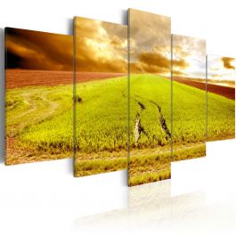 Canvas Print - Wheels traces on a field