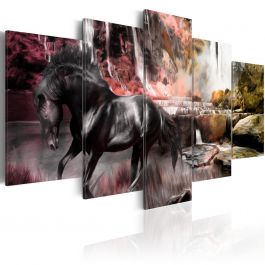Πίνακας - Black horse on crimson sky background