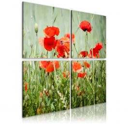 Canvas Print - Springtime