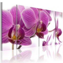 Πίνακας - Marvelous orchid
