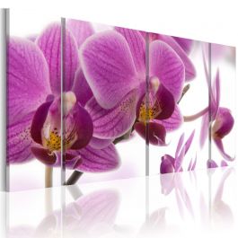 Canvas Print - Marvelous orchid