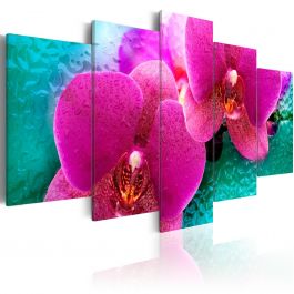 Canvas Print - Exotic orchids