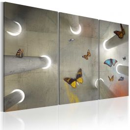 Canvas Print - Be free...