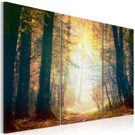 Canvas Print - Beauty of autumn - triptych