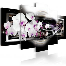 Πίνακας - Orchids on a black background