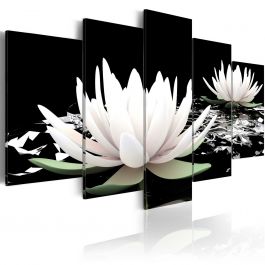 Canvas Print - Delicate beauty
