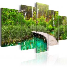 Canvas Print - Emerald Trail