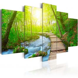 Canvas Print - Sunny Forest