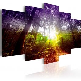 Canvas Print - Rainbow Forest