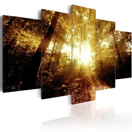 Canvas Print - Autumn Forest