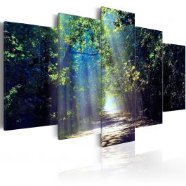 Πίνακας - Sunny Forest Path
