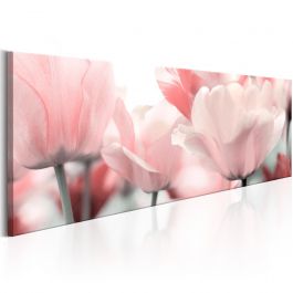 Πίνακας - Pink Tulips