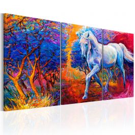 Canvas Print - Valley of Fantasy 