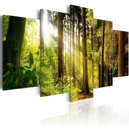 Canvas Print - Morning's Song