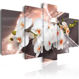 Canvas Print - Echo of Beauty