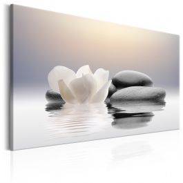 Canvas Print - Garden of Calm