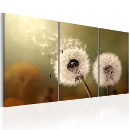 Canvas Print - Whisper of Summer