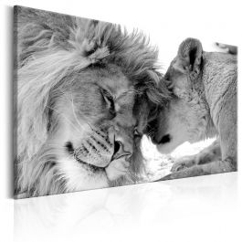 Πίνακας - Lion's Love