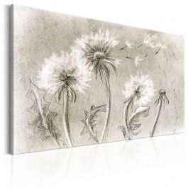 Πίνακας - Dandelions (Pencil Artwork)