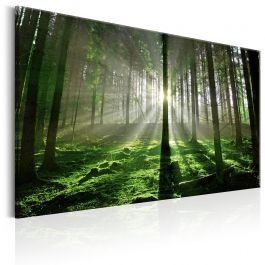 Canvas Print - Emerald Forest II