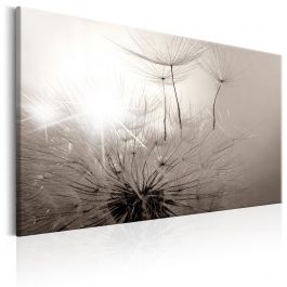 Canvas Print - Beautiful Summer: Dandelions