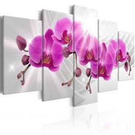 Πίνακας - Abstract Garden: Pink Orchids