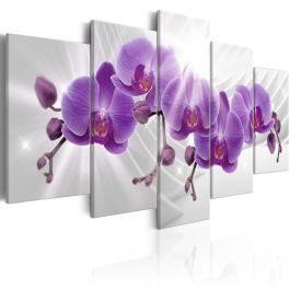 Πίνακας - Abstract Garden: Purple Orchis