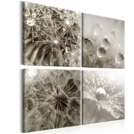 Canvas Print - Grey Dandelion