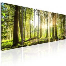Canvas Print - Sunlight